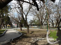 Plaza de los Campeones en Banfield Este