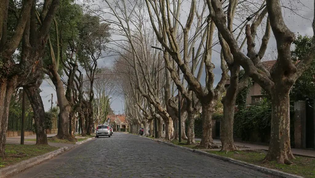 Casas estilo inglés en calle adoquinada de Temperley